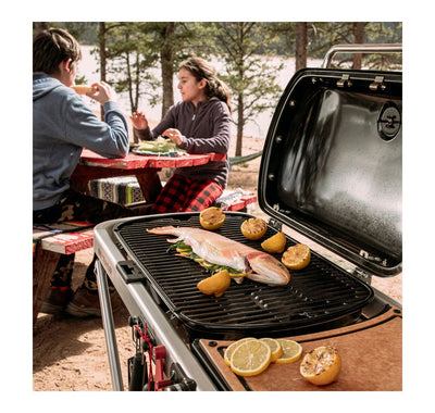 Weber Traveler LP BLK