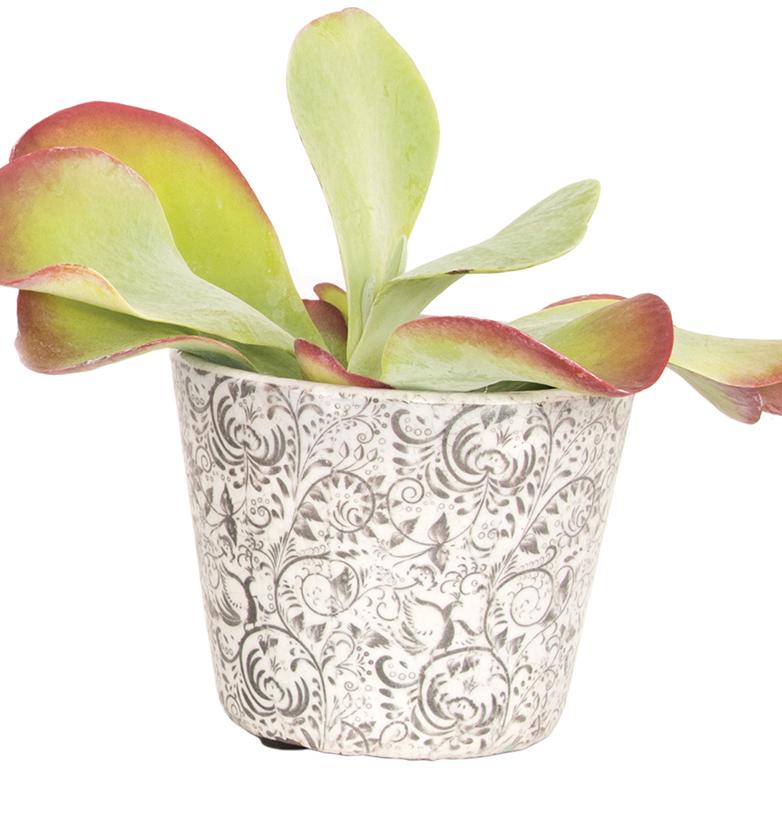 Vintage Pattern 1 Pot