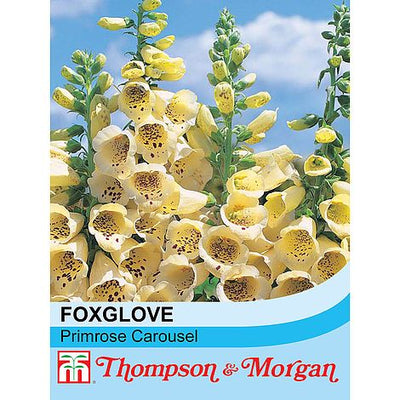Foxglove Lavender Carousel - The Pavilion