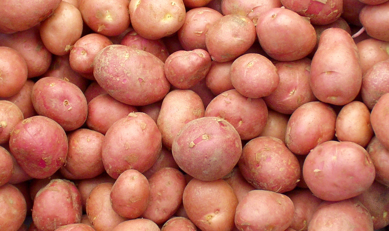 Desiree Seed Potatoes - 2kg 35-60mm
