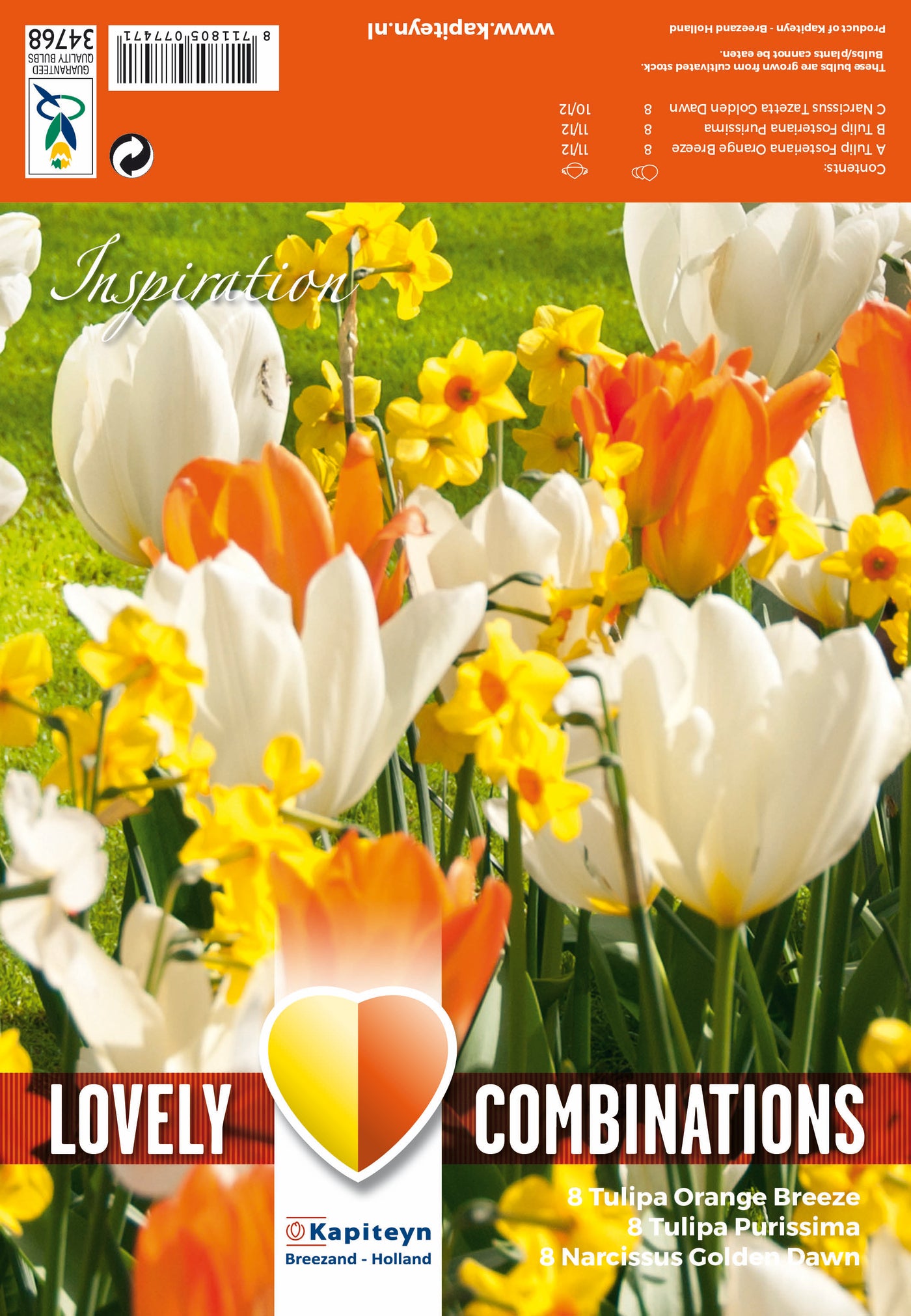 Combi Tulipa Orange/White & Narcissus Yellow