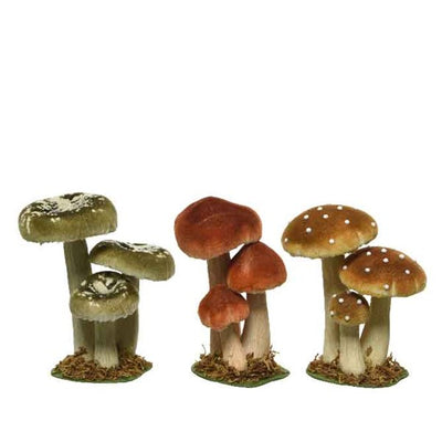 Mushroom - Mustard / Brown / Green