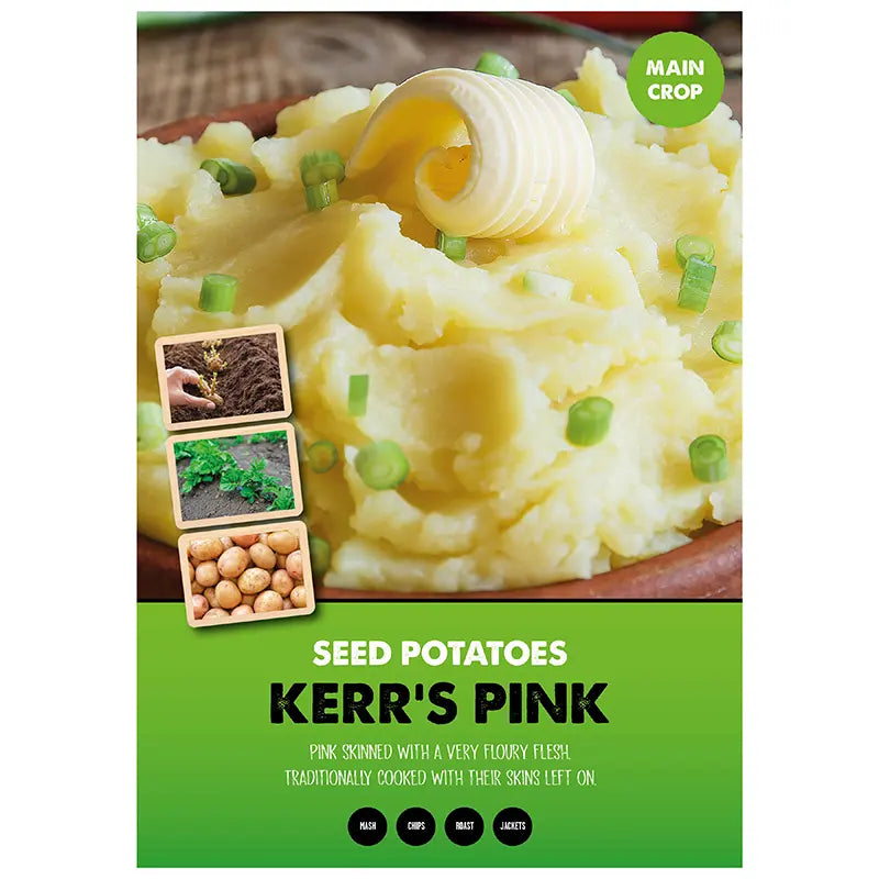 Kerr's Pink Seed Potatoes - 2kg 35-60mm