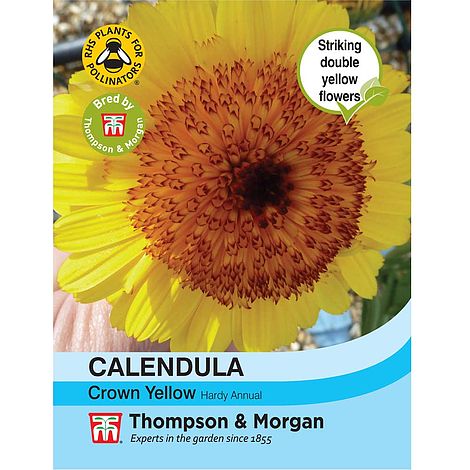 Calendula Crown Yellow - The Pavilion