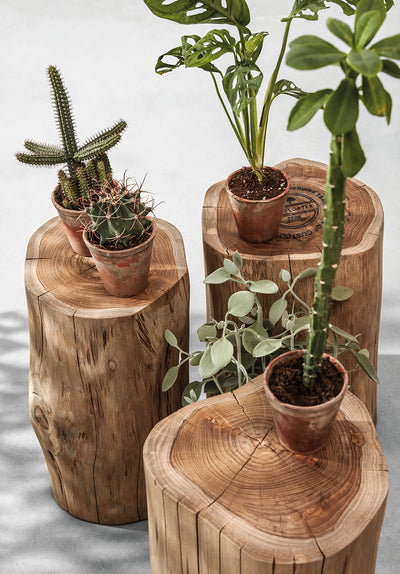 RAW Log Stool / Side Table