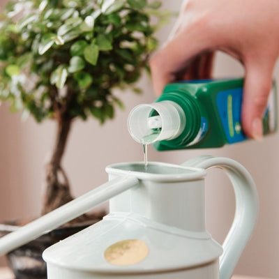 Westland Bonsai Feed Concentrate