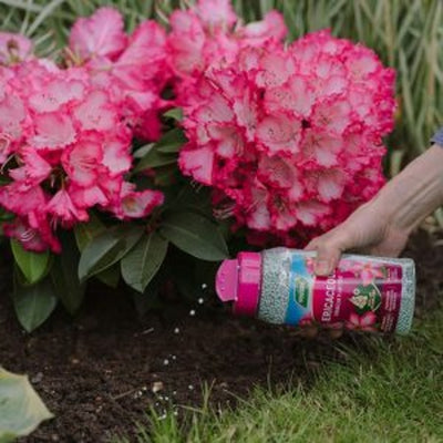 WL Ericaceous Specialist Plant Food Granules Jar 900g