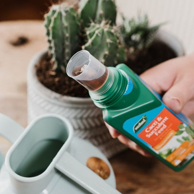 Westland Cacti & Succulent Feed Concentrate