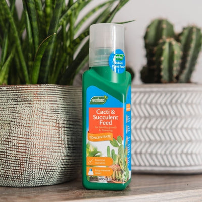 Westland Cacti & Succulent Feed Concentrate