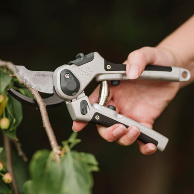 Kent & Stowe Eversharp Bypass Secateurs