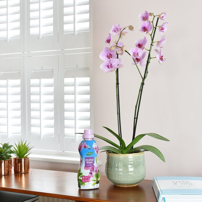 Westland Orchid Water