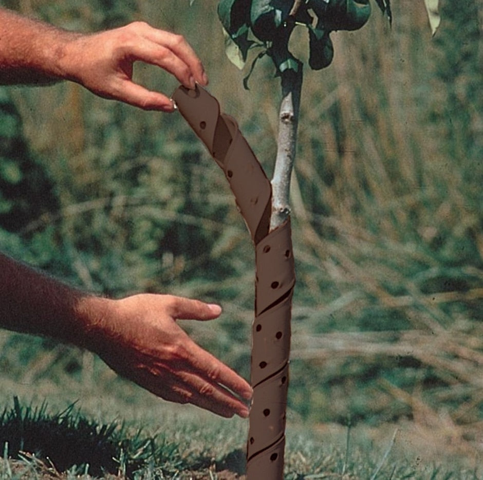 Gardman Spiral Tree Guard