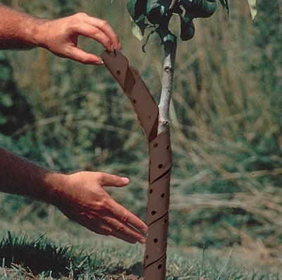 Gardman Spiral Tree Guard