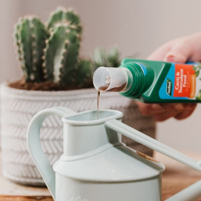 Westland Cacti & Succulent Feed Concentrate