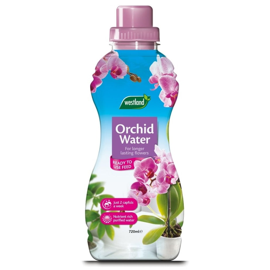 Westland Orchid Water