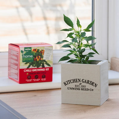 Unwins Homegrown Chilli Kitchen Garden