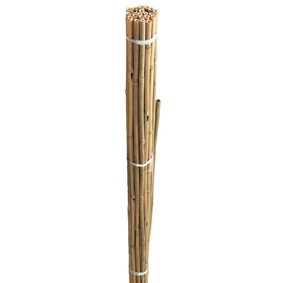 Grow It 210cm Bamboo Canes Bulk Bundle - 10 Pack