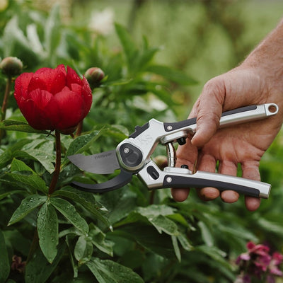 Kent & Stowe Eversharp Bypass Secateurs