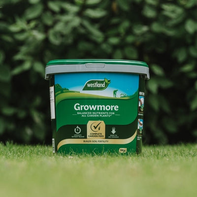 Westland Growmore 10Kg