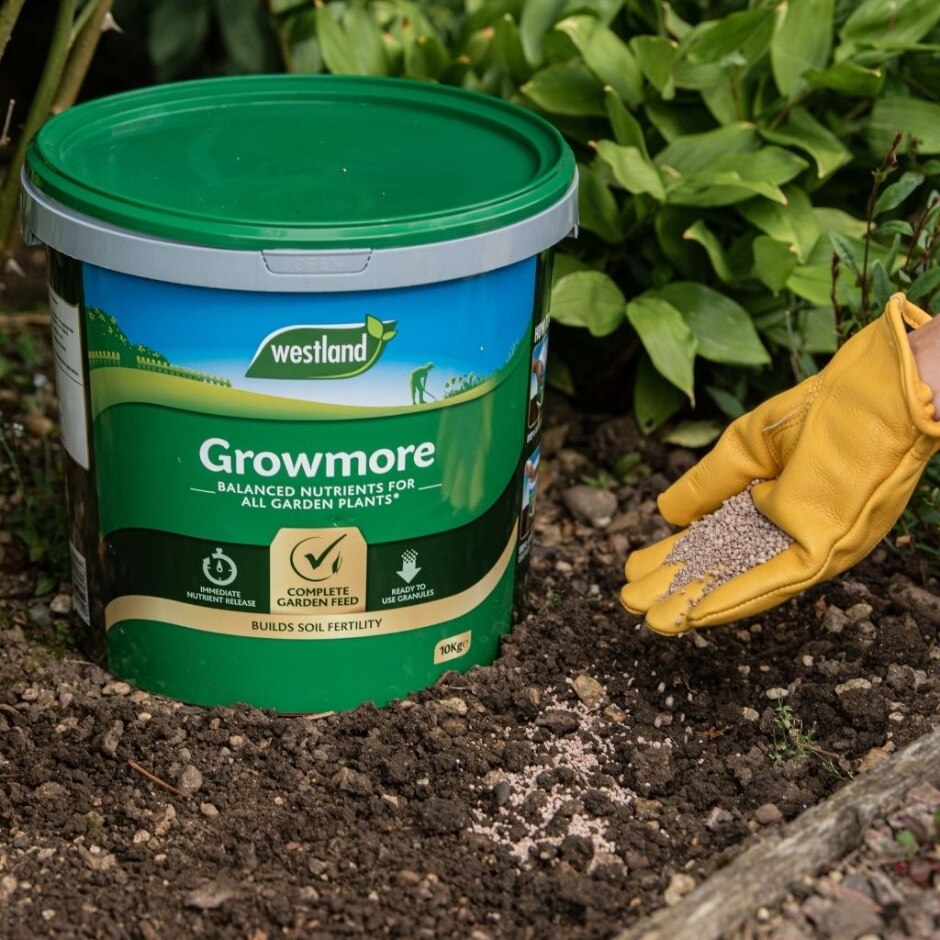 Westland Growmore 10Kg