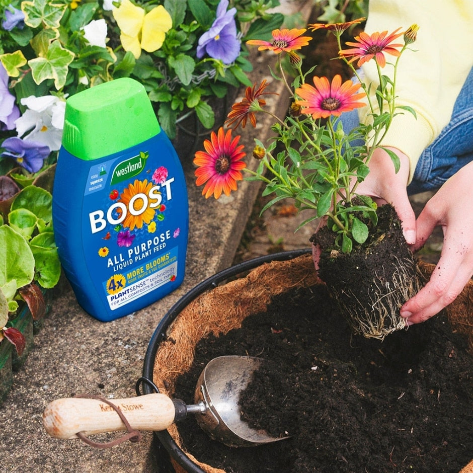 Westland Boost All Purpose Liquid Plant Food 1L Display