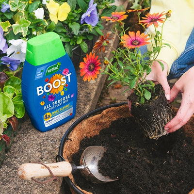 Westland Boost All Purpose Liquid Plant Food 1L Display