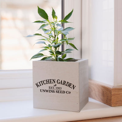 Unwins Homegrown Chilli Kitchen Garden