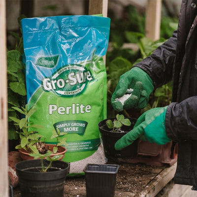 Gro-Sure Perlite 10L