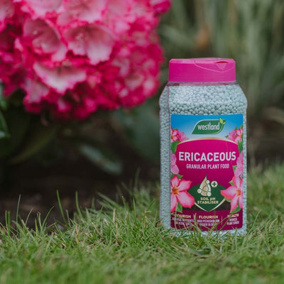 WL Ericaceous Specialist Plant Food Granules Jar 900g