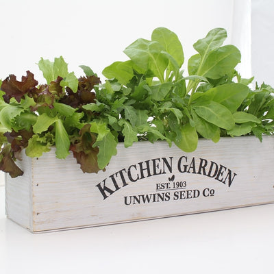 Unwins Homegrown Salad Kitchen Garden