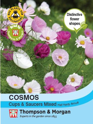 Cosmos Cups & Saucers Mixed - The Pavilion